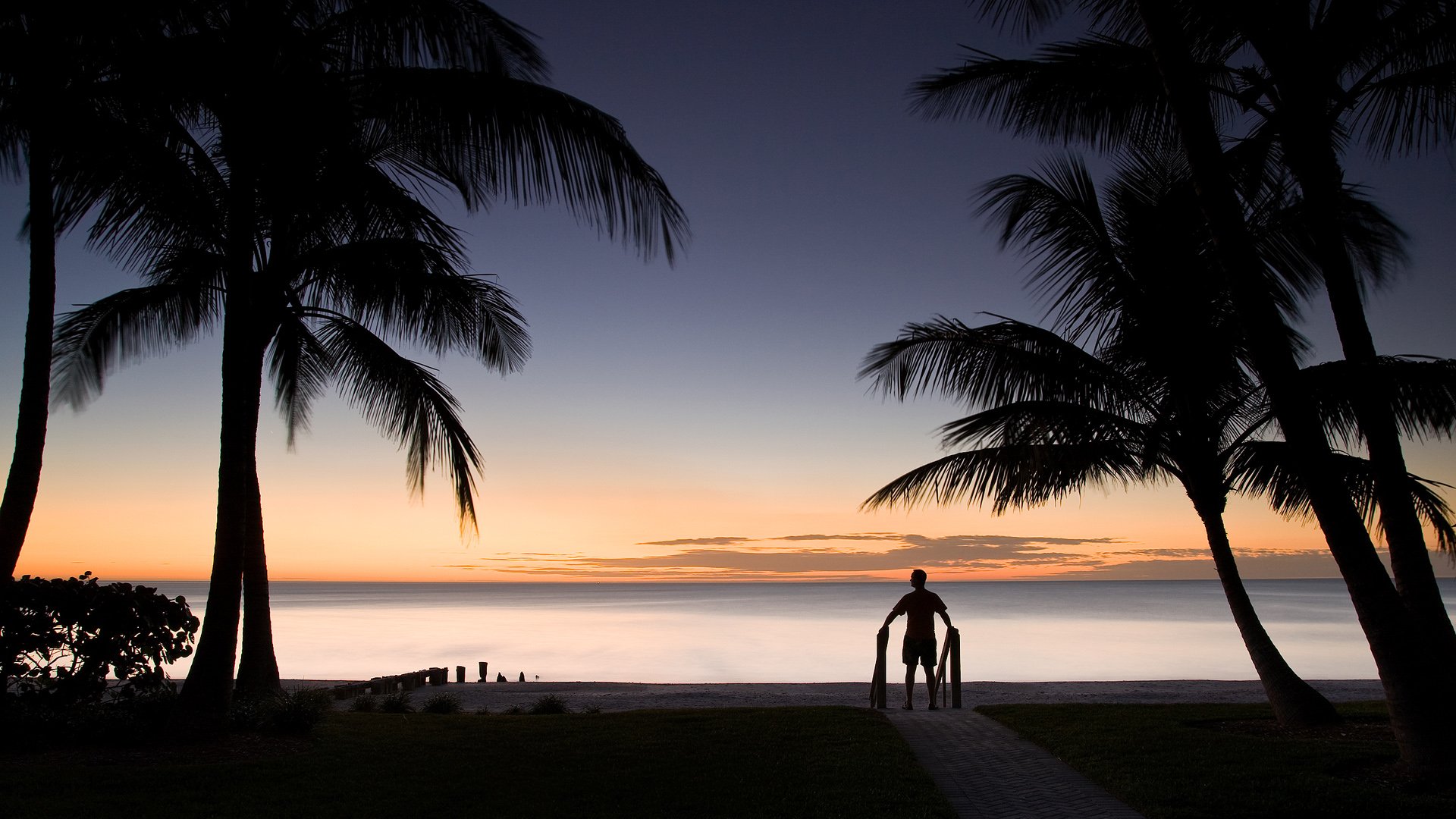 beach, adorable, view, alone, man