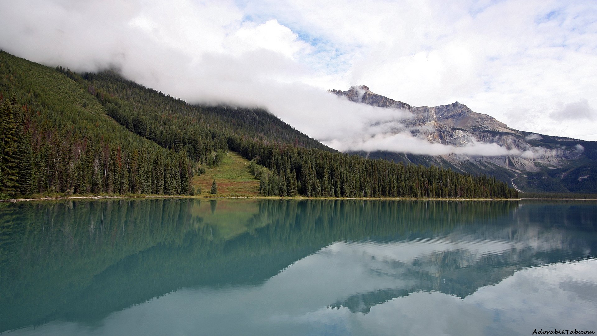 cloudy, fog, sea, trees
