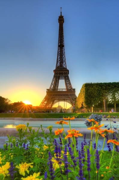 cute, art, nature, colors, adorable
