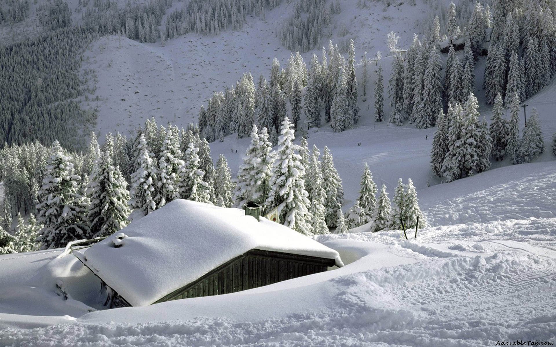 house, in, ice, winter
