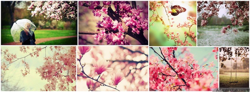 cute, flowers, natural, sweet