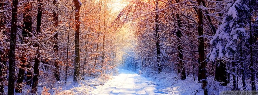 winter, ice, sunshine