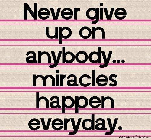 never, give, up, miracles, happens